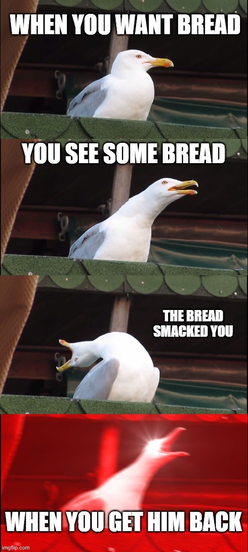 Inhaling Seagull | WHEN YOU WANT BREAD; YOU SEE SOME BREAD; THE BREAD SMACKED YOU; WHEN YOU GET HIM BACK | image tagged in memes,inhaling seagull | made w/ Imgflip meme maker