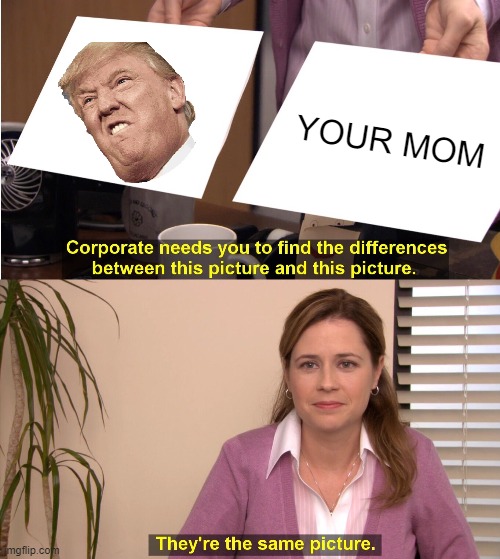 They're The Same Picture | YOUR MOM | image tagged in memes,they're the same picture | made w/ Imgflip meme maker