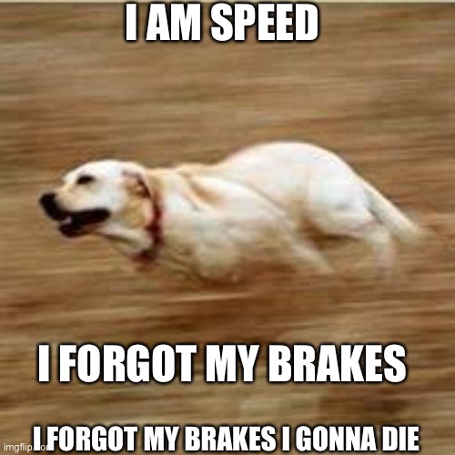 Speedy doggo | I AM SPEED; I FORGOT MY BRAKES; I FORGOT MY BRAKES I GONNA DIE | image tagged in speedy doggo | made w/ Imgflip meme maker