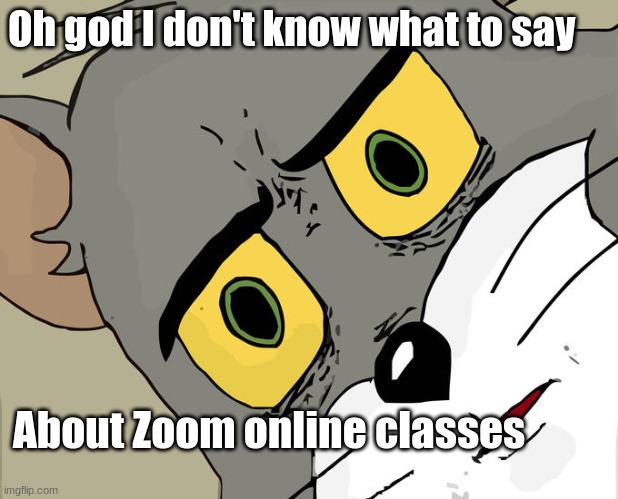 Unsettled Tom | Oh god I don't know what to say; About Zoom online classes | image tagged in memes,unsettled tom | made w/ Imgflip meme maker