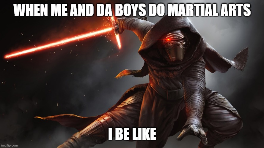 me in da boys | WHEN ME AND DA BOYS DO MARTIAL ARTS; I BE LIKE | image tagged in martial arts | made w/ Imgflip meme maker