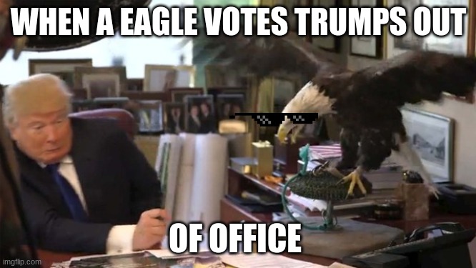 Trump Eagle | WHEN A EAGLE VOTES TRUMPS OUT; OF OFFICE | image tagged in trump eagle | made w/ Imgflip meme maker