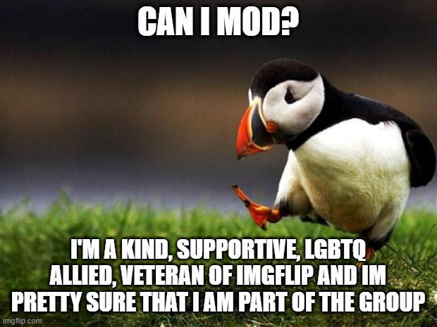 Mod? | CAN I MOD? I'M A KIND, SUPPORTIVE, LGBTQ ALLIED, VETERAN OF IMGFLIP AND IM PRETTY SURE THAT I AM PART OF THE GROUP | image tagged in memes,moderators,please | made w/ Imgflip meme maker