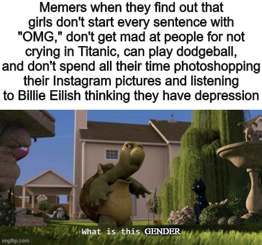 What is this gender | Memers when they find out that girls don't start every sentence with "OMG," don't get mad at people for not crying in Titanic, can play dodgeball, and don't spend all their time photoshopping their Instagram pictures and listening to Billie Eilish thinking they have depression; GENDER | image tagged in what is this place,boys vs girls,girls,titanic,billie eilish,memers | made w/ Imgflip meme maker