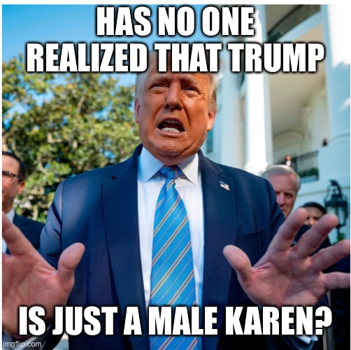 Trump is Karen | HAS NO ONE REALIZED THAT TRUMP; IS JUST A MALE KAREN? | image tagged in male karen | made w/ Imgflip meme maker