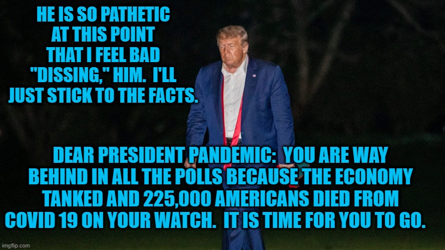Just The Facts! | HE IS SO PATHETIC AT THIS POINT THAT I FEEL BAD "DISSING," HIM.  I'LL JUST STICK TO THE FACTS. DEAR PRESIDENT PANDEMIC:  YOU ARE WAY BEHIND IN ALL THE POLLS BECAUSE THE ECONOMY TANKED AND 225,000 AMERICANS DIED FROM COVID 19 ON YOUR WATCH.  IT IS TIME FOR YOU TO GO. | image tagged in politics | made w/ Imgflip meme maker