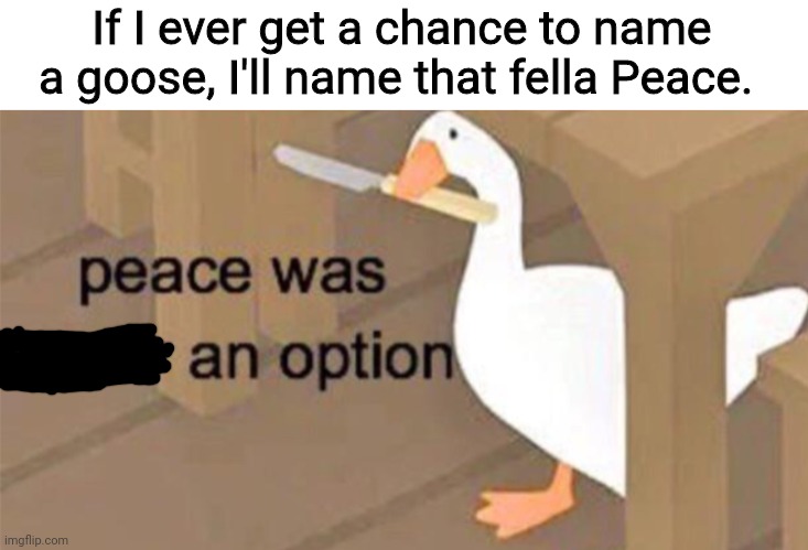 Untitled Goose Peace Was Never an Option | If I ever get a chance to name a goose, I'll name that fella Peace. | image tagged in untitled goose peace was never an option,memes,funny memes | made w/ Imgflip meme maker