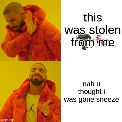 Drake Hotline Bling Meme | this was stolen from me; nah u thought i was gone sneeze | image tagged in memes,drake hotline bling | made w/ Imgflip meme maker