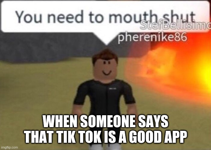 Tik Tok roblox meme | WHEN SOMEONE SAYS THAT TIK TOK IS A GOOD APP | image tagged in roblox | made w/ Imgflip meme maker