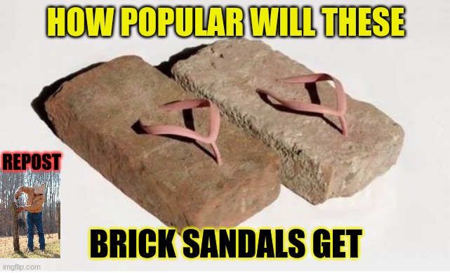 brick slippers  | HOW POPULAR WILL THESE; REPOST; BRICK SANDALS GET | image tagged in brick slippers | made w/ Imgflip meme maker