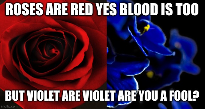 facts | ROSES ARE RED YES BLOOD IS TOO; BUT VIOLET ARE VIOLET ARE YOU A FOOL? | image tagged in roses are red violets are blue | made w/ Imgflip meme maker