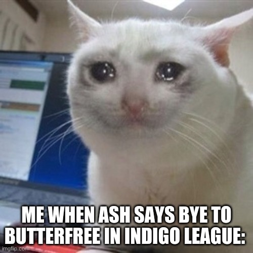 i swear i was crying a bit lol | ME WHEN ASH SAYS BYE TO BUTTERFREE IN INDIGO LEAGUE: | image tagged in crying cat | made w/ Imgflip meme maker
