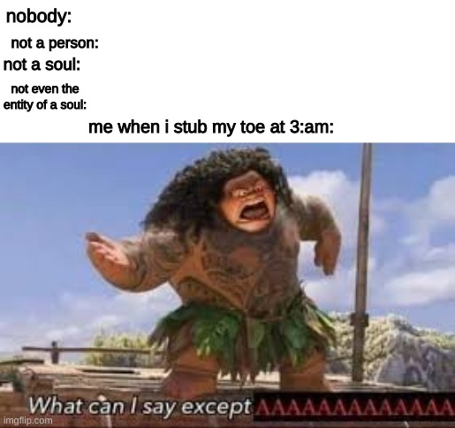 You better not lie about this it hurts and we all know it. | nobody:; not a person:; not a soul:; not even the entity of a soul:; me when i stub my toe at 3:am: | image tagged in what can i say except aaaaaaaaaaa,lol,memes,funny,relatable | made w/ Imgflip meme maker