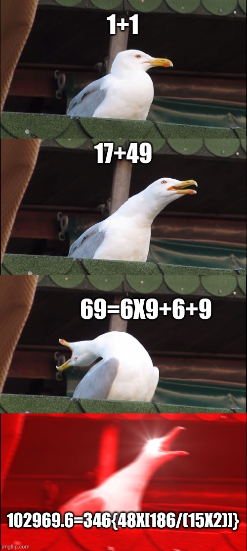 Inhaling Seagull | 1+1; 17+49; 69=6X9+6+9; 102969.6=346{48X[186/(15X2)]} | image tagged in memes,inhaling seagull | made w/ Imgflip meme maker