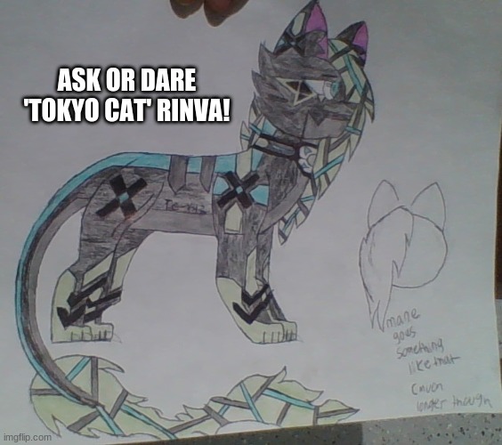 ASK OR DARE 'TOKYO CAT' RINVA! | made w/ Imgflip meme maker