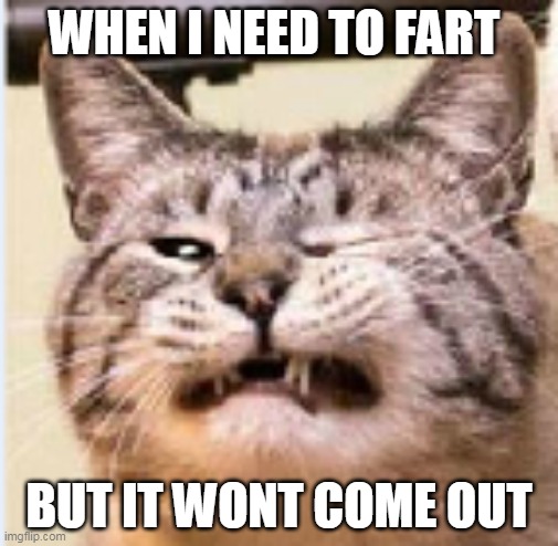 fart | WHEN I NEED TO FART; BUT IT WONT COME OUT | image tagged in mine | made w/ Imgflip meme maker