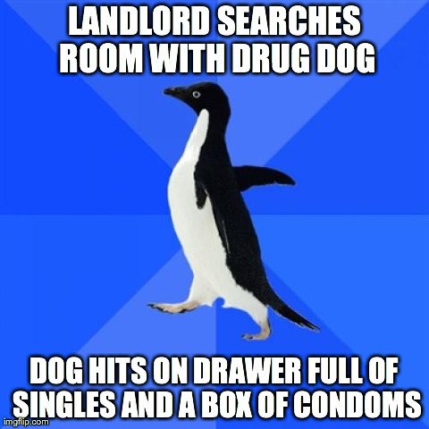 Socially Awkward Penguin Meme | LANDLORD SEARCHES ROOM WITH DRUG DOG DOG HITS ON DRAWER FULL OF SINGLES AND A BOX OF CONDOMS | image tagged in memes,socially awkward penguin,AdviceAnimals | made w/ Imgflip meme maker