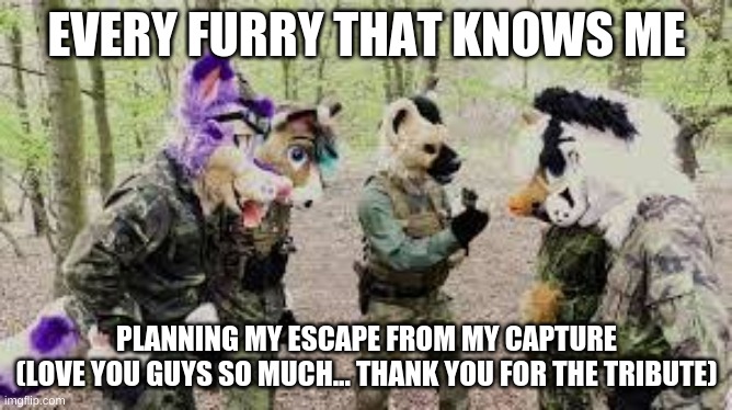 Furry break out planning | EVERY FURRY THAT KNOWS ME; PLANNING MY ESCAPE FROM MY CAPTURE
(LOVE YOU GUYS SO MUCH... THANK YOU FOR THE TRIBUTE) | image tagged in furries on the attac 2 | made w/ Imgflip meme maker