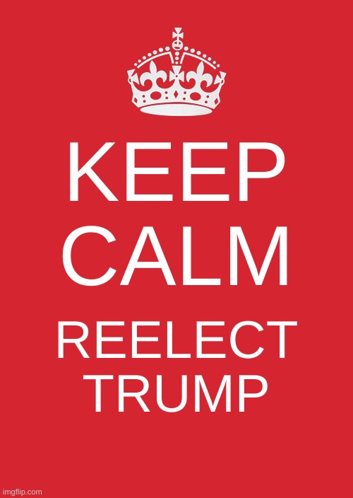 Reelect Dr Trump | KEEP CALM; REELECT TRUMP | image tagged in memes,keep calm and carry on red,covid is a hoax,maga,trump 2020 | made w/ Imgflip meme maker