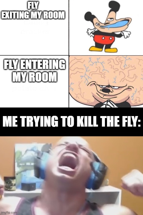 Fly in my room | FLY EXITING MY ROOM; FLY ENTERING MY ROOM; ME TRYING TO KILL THE FLY: | image tagged in big brain mickey,i hope no one done it before | made w/ Imgflip meme maker