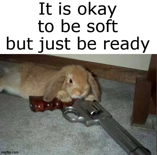 Glad we have guns in case this election goes sideways. | It is okay to be soft but just be ready | image tagged in political meme | made w/ Imgflip meme maker