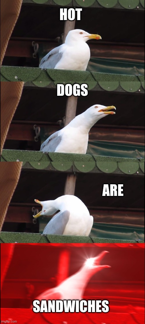 i will say it | HOT; DOGS; ARE; SANDWICHES | image tagged in memes,inhaling seagull | made w/ Imgflip meme maker