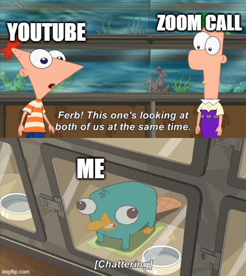 phineas and ferb | ZOOM CALL; YOUTUBE; ME | image tagged in phineas and ferb,online school | made w/ Imgflip meme maker