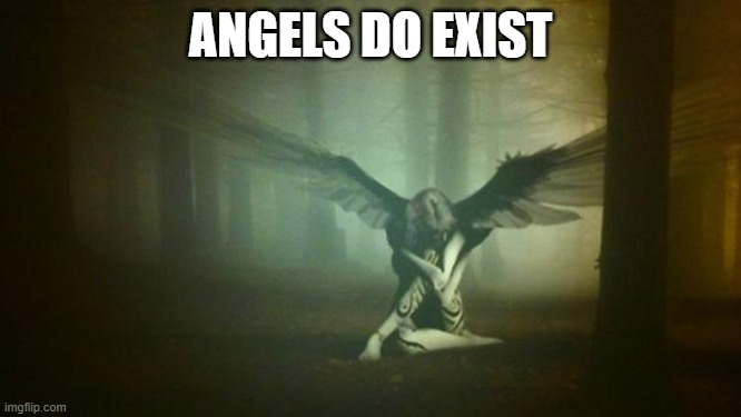 Angels do exist.... | ANGELS DO EXIST | image tagged in angels do exist | made w/ Imgflip meme maker