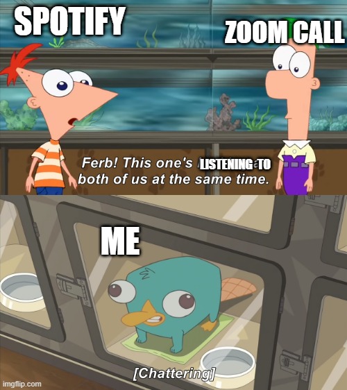 phineas and ferb | ZOOM CALL; SPOTIFY; LISTENING  TO; ME | image tagged in phineas and ferb,online school | made w/ Imgflip meme maker