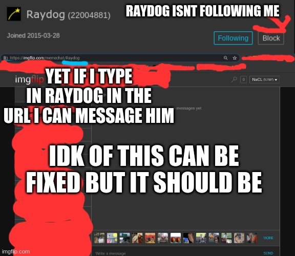 RAYDOG ISNT FOLLOWING ME; YET IF I TYPE IN RAYDOG IN THE URL I CAN MESSAGE HIM; IDK OF THIS CAN BE FIXED BUT IT SHOULD BE | made w/ Imgflip meme maker