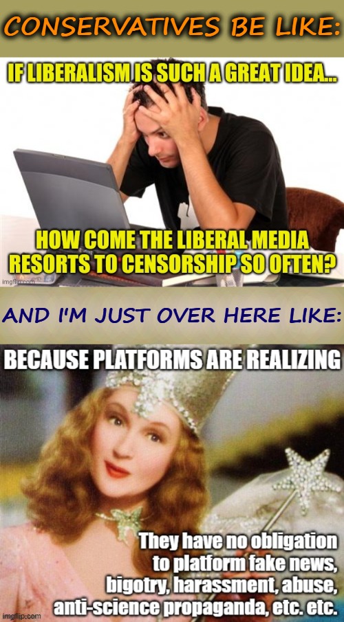 tl;dr: Free speech on the internet is a privilege, not a right. Comply with mods' terms of service or face the consequences. | CONSERVATIVES BE LIKE:; AND I'M JUST OVER HERE LIKE: | image tagged in free speech,hate speech,social media,conservative logic,fake news,propaganda | made w/ Imgflip meme maker