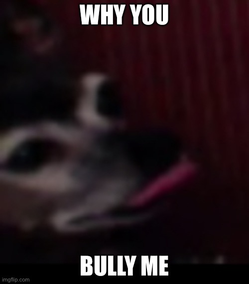 Why | WHY YOU; BULLY ME | image tagged in doggo | made w/ Imgflip meme maker