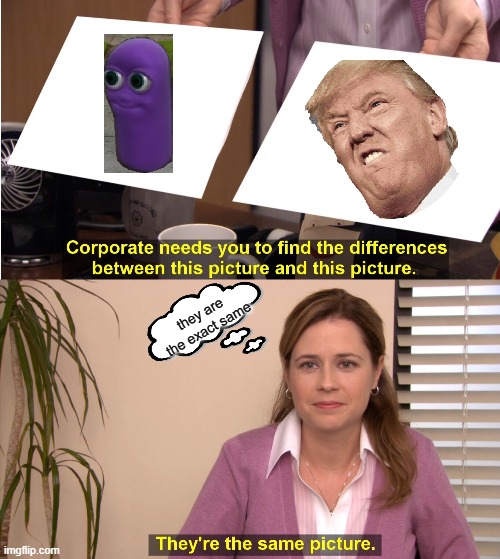 They're The Same Picture Meme | they are the exact same | image tagged in memes,they're the same picture | made w/ Imgflip meme maker