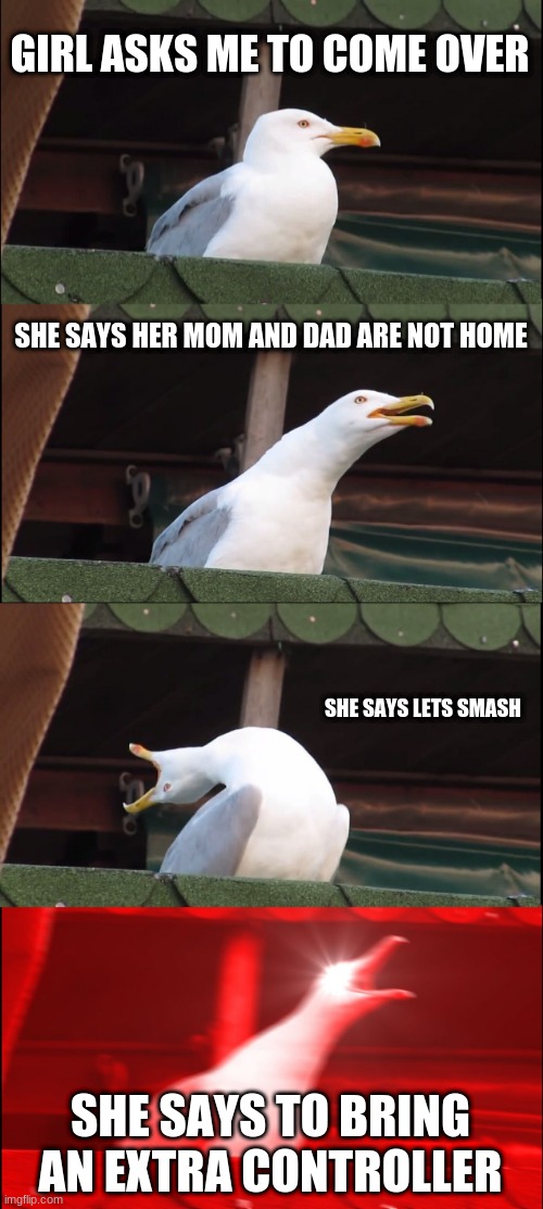 Inhaling Seagull | GIRL ASKS ME TO COME OVER; SHE SAYS HER MOM AND DAD ARE NOT HOME; SHE SAYS LETS SMASH; SHE SAYS TO BRING AN EXTRA CONTROLLER | image tagged in memes,inhaling seagull | made w/ Imgflip meme maker