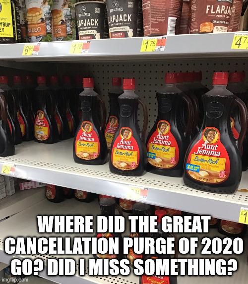 What happened to the cancel purge of 2020 | WHERE DID THE GREAT CANCELLATION PURGE OF 2020 GO? DID I MISS SOMETHING? | image tagged in aunt jemima,cops,land o lakes | made w/ Imgflip meme maker