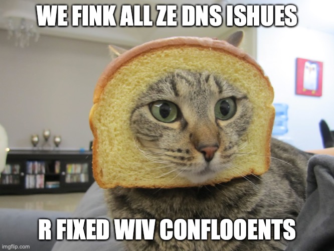 Inbred | WE FINK ALL ZE DNS ISHUES; R FIXED WIV CONFLOOENTS | image tagged in inbred,work | made w/ Imgflip meme maker
