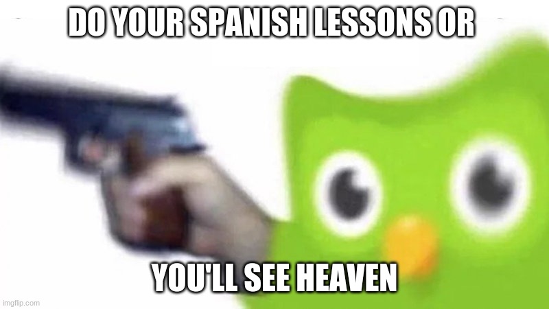 Do it kids, or you will get o see god >:) | DO YOUR SPANISH LESSONS OR; YOU'LL SEE HEAVEN | image tagged in duolingo gun | made w/ Imgflip meme maker