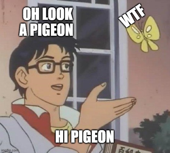 Is This A Pigeon Meme | OH LOOK A PIGEON; WTF; HI PIGEON | image tagged in memes,is this a pigeon | made w/ Imgflip meme maker