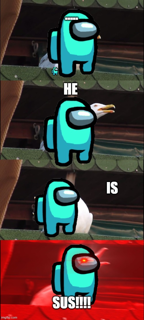 Inhaling Seagull | ..... HE; IS; SUS!!!! | image tagged in memes,inhaling seagull | made w/ Imgflip meme maker