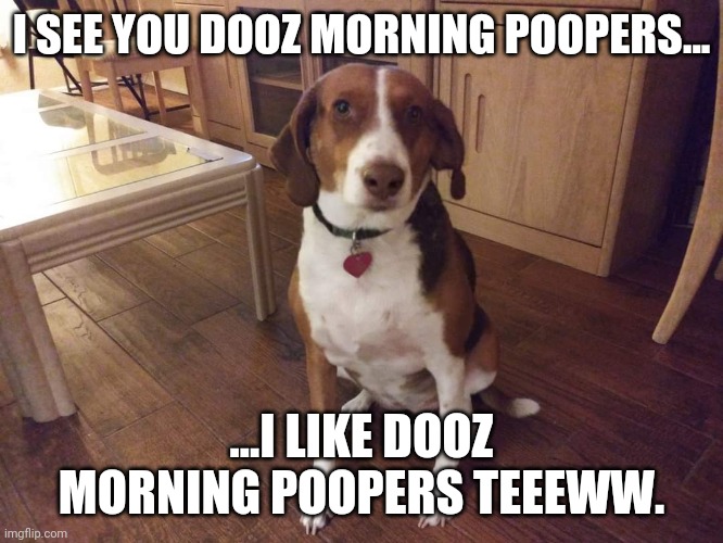 Morning doggo | I SEE YOU DOOZ MORNING POOPERS... ...I LIKE DOOZ MORNING POOPERS TEEEWW. | image tagged in dog,dogs | made w/ Imgflip meme maker