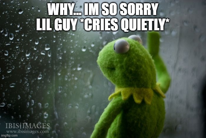 kermit window | WHY... IM SO SORRY LIL GUY *CRIES QUIETLY* | image tagged in kermit window | made w/ Imgflip meme maker