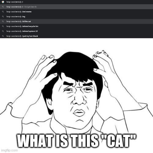 Jackie Chan Help I Accidentally Did the Cat | WHAT IS THIS "CAT" | image tagged in memes,jackie chan wtf,cats | made w/ Imgflip meme maker