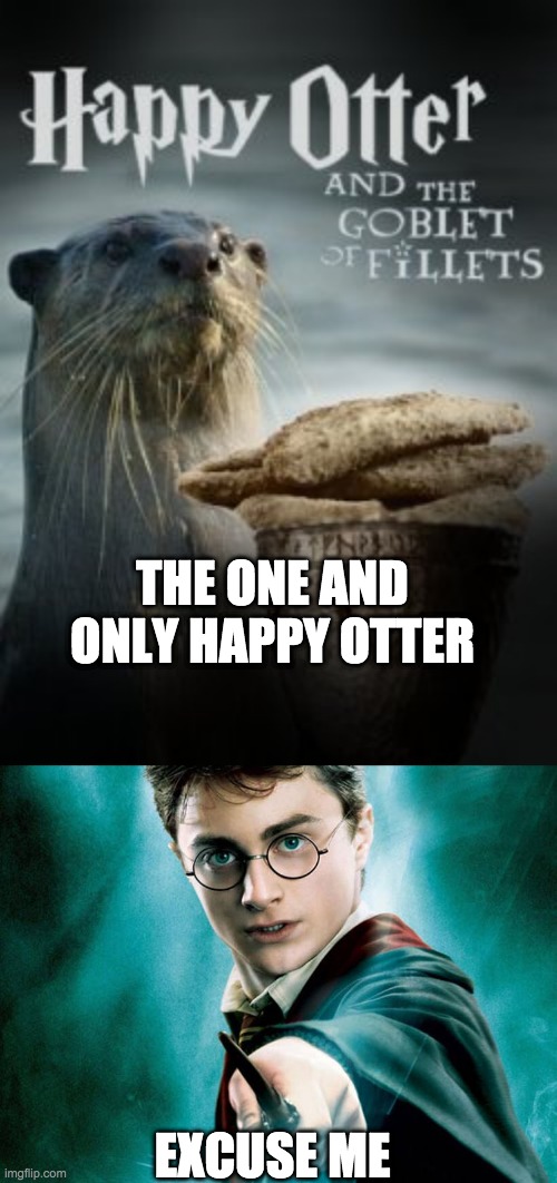 THE ONE AND ONLY HAPPY OTTER; EXCUSE ME | image tagged in happy otter | made w/ Imgflip meme maker