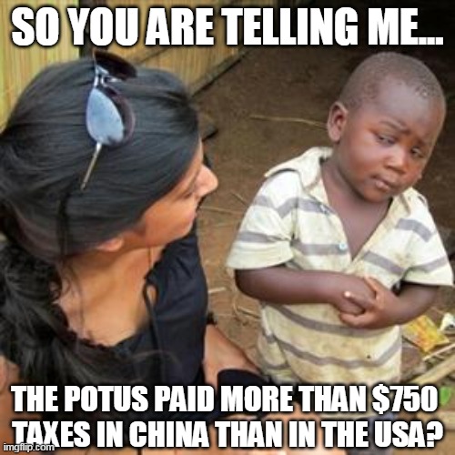 Trump pays more taxes in China than in the USA | SO YOU ARE TELLING ME... THE POTUS PAID MORE THAN $750 
TAXES IN CHINA THAN IN THE USA? | image tagged in so youre telling me | made w/ Imgflip meme maker