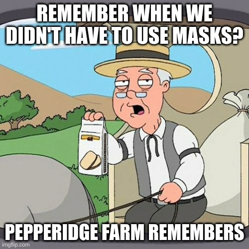 Pepperidge Farm Remembers Meme | REMEMBER WHEN WE DIDN'T HAVE TO USE MASKS? PEPPERIDGE FARM REMEMBERS | image tagged in memes,pepperidge farm remembers | made w/ Imgflip meme maker
