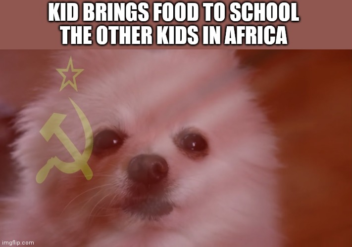 KID BRINGS FOOD TO SCHOOL 
THE OTHER KIDS IN AFRICA | made w/ Imgflip meme maker