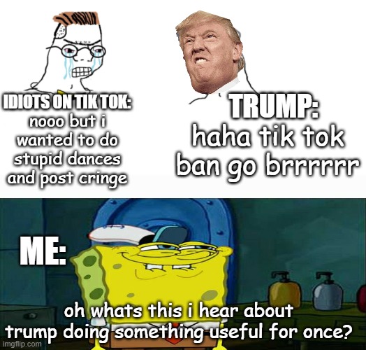 I Despise Tik Tok and It's Spreading everywhere My parent have it, my friends, it's a Tik Tok virus and Trump is Banning it from | TRUMP:; IDIOTS ON TIK TOK:; nooo but i wanted to do stupid dances and post cringe; haha tik tok ban go brrrrrr; ME:; oh whats this i hear about trump doing something useful for once? | image tagged in nooo haha go brrr | made w/ Imgflip meme maker
