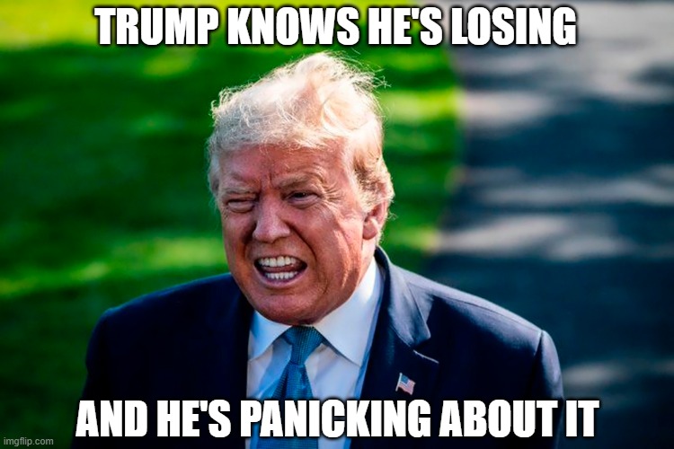 Most Presidents Who Lose Deal With Shame. Trump Could Have To Deal With Prison. | TRUMP KNOWS HE'S LOSING; AND HE'S PANICKING ABOUT IT | image tagged in dump trump,trump unfit unqualified dangerous,election 2020,losing,panic attack,humiliation | made w/ Imgflip meme maker
