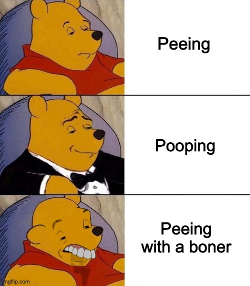 only boys will get this | Peeing; Pooping; Peeing with a boner | image tagged in best better blurst | made w/ Imgflip meme maker