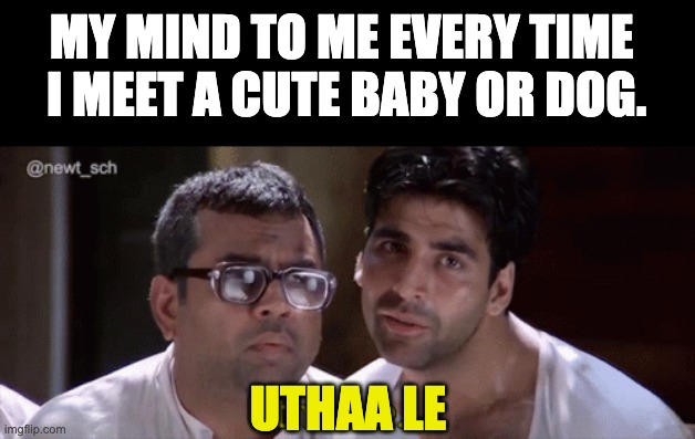 utha le | MY MIND TO ME EVERY TIME 
I MEET A CUTE BABY OR DOG. UTHAA LE | image tagged in hera pheri,bollywood,bollywood memes | made w/ Imgflip meme maker